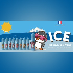Spring break - BOBBLE ICE - 50ml
