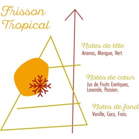 Frisson tropical - NUAGE POLAIRE - SENSE - 50ml