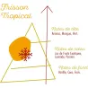 Frisson tropical - NUAGE POLAIRE - SENSE - 50ml