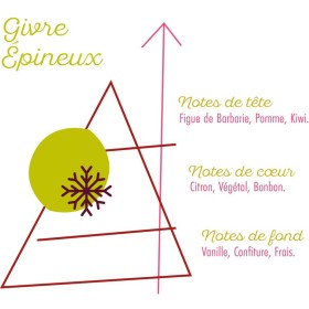 Givre épineux - NUAGE POLAIRE - SENSE - 50ml
