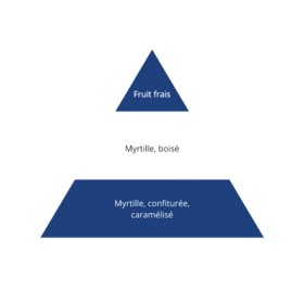 Myrtille sauvage - SENSE - 10ML