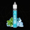 Menthe polaire - TWENTY - ETASTY 20ML