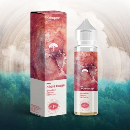 Cèdre rouge - CANOPEE CURIEUX - 50ML