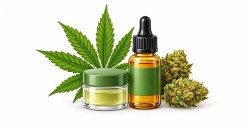 CBD : Fleurs, Résines et Produits au Chanvre