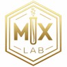 MX LAB