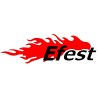 EFEST