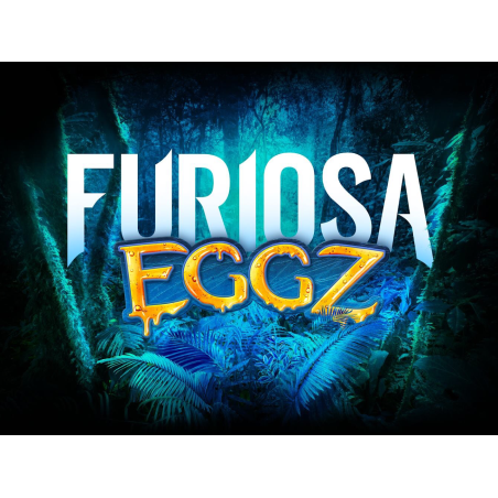 FURIOSA EGGZ